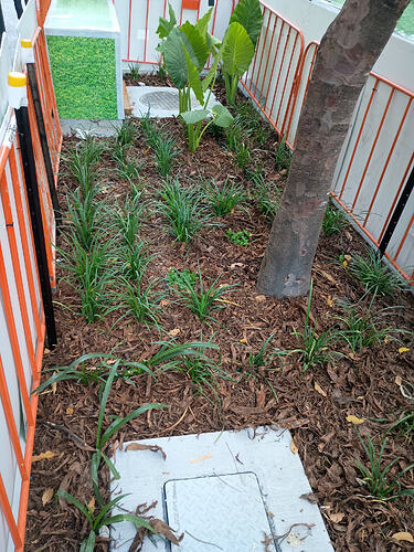 IMG_20251207_170758775