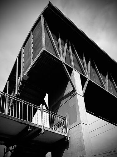 IMG_9477