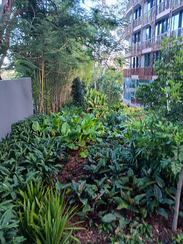 IMG_20251130_173141361_HDR
