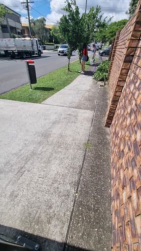 Emlyn Shade 20241202_085237