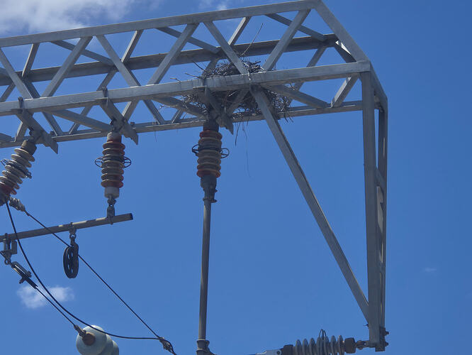 Bird nest in overhead line equipment at Bowen Hills Station (zoomed in)