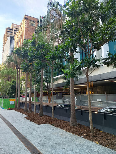 IMG_20251207_170813654_HDR