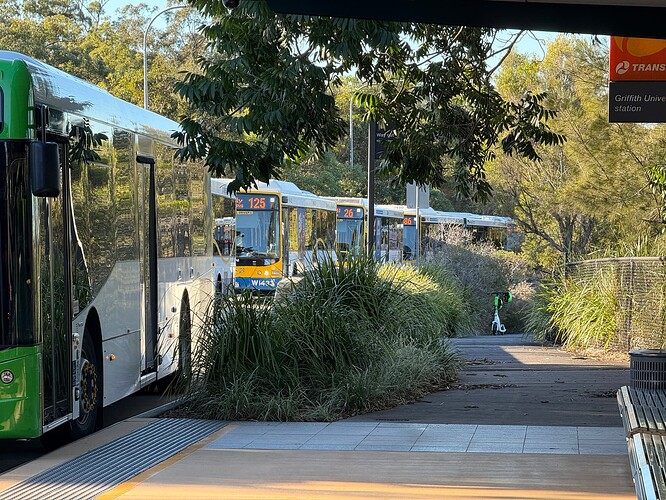 Bus line up at Griffith University Busway Station, Platform 1 at 8:00am.